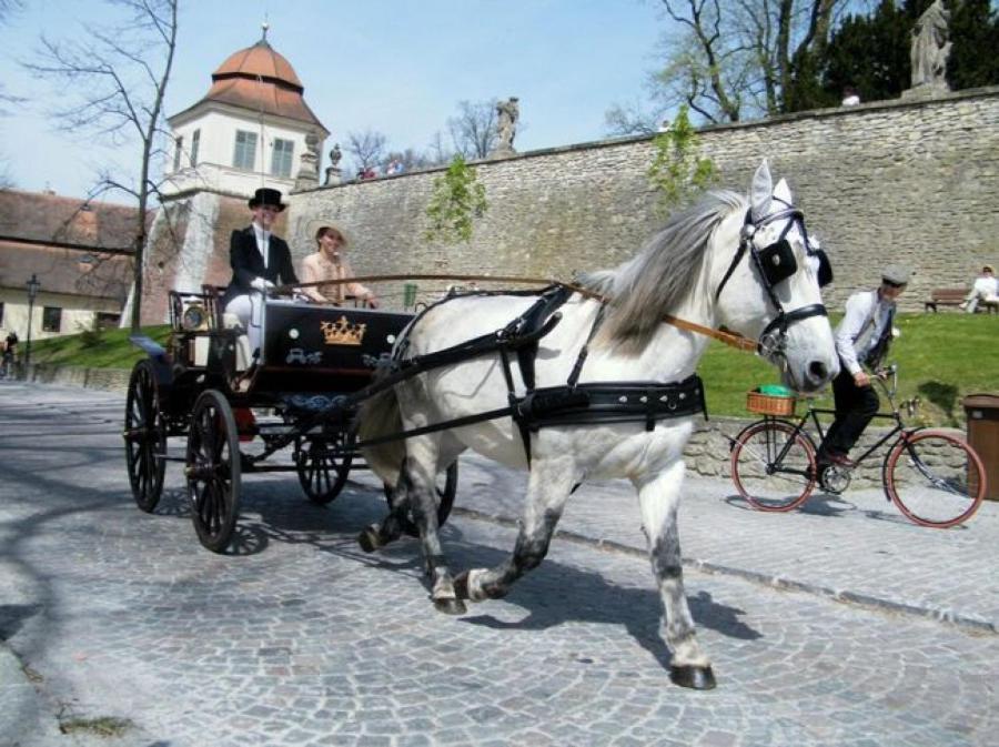 Penzion V Podzamci Litomyšl Zewnętrze zdjęcie